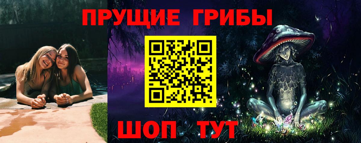 Галлюциногенные грибы мухоморы  купить   Вязники  Вход с VPN  Галлюциногенные грибы GOLDEN TEACHER 